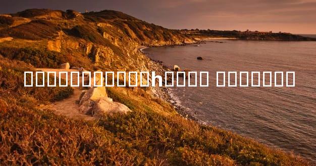 �����������һ���� ��ѧ����